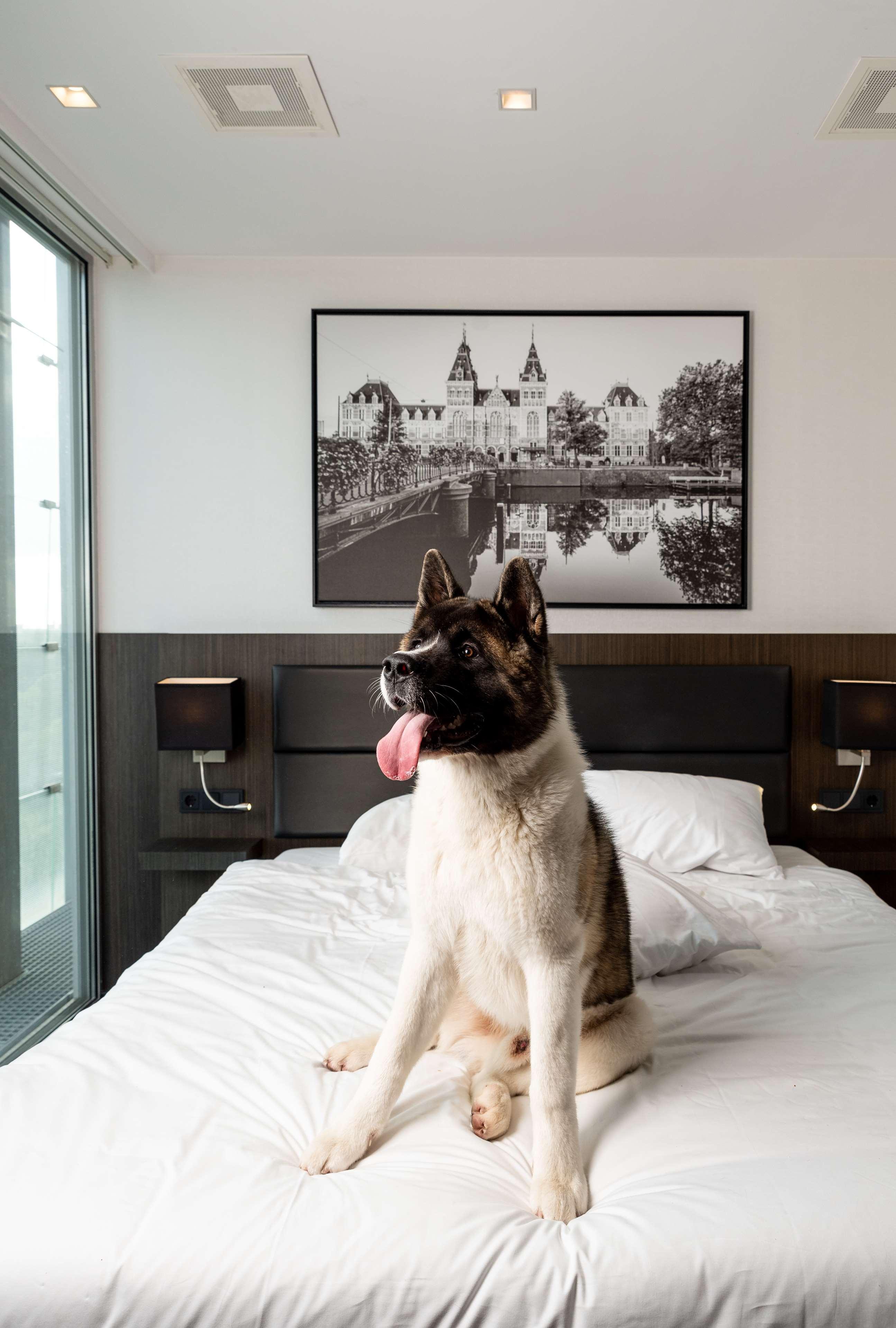 Radisson Hotel And Suites Amsterdam South Buitenkant foto